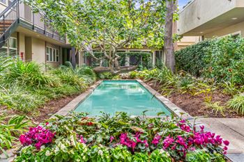 A pool surrounded by green plants and trees at West Park Village, Los Angeles, 90025